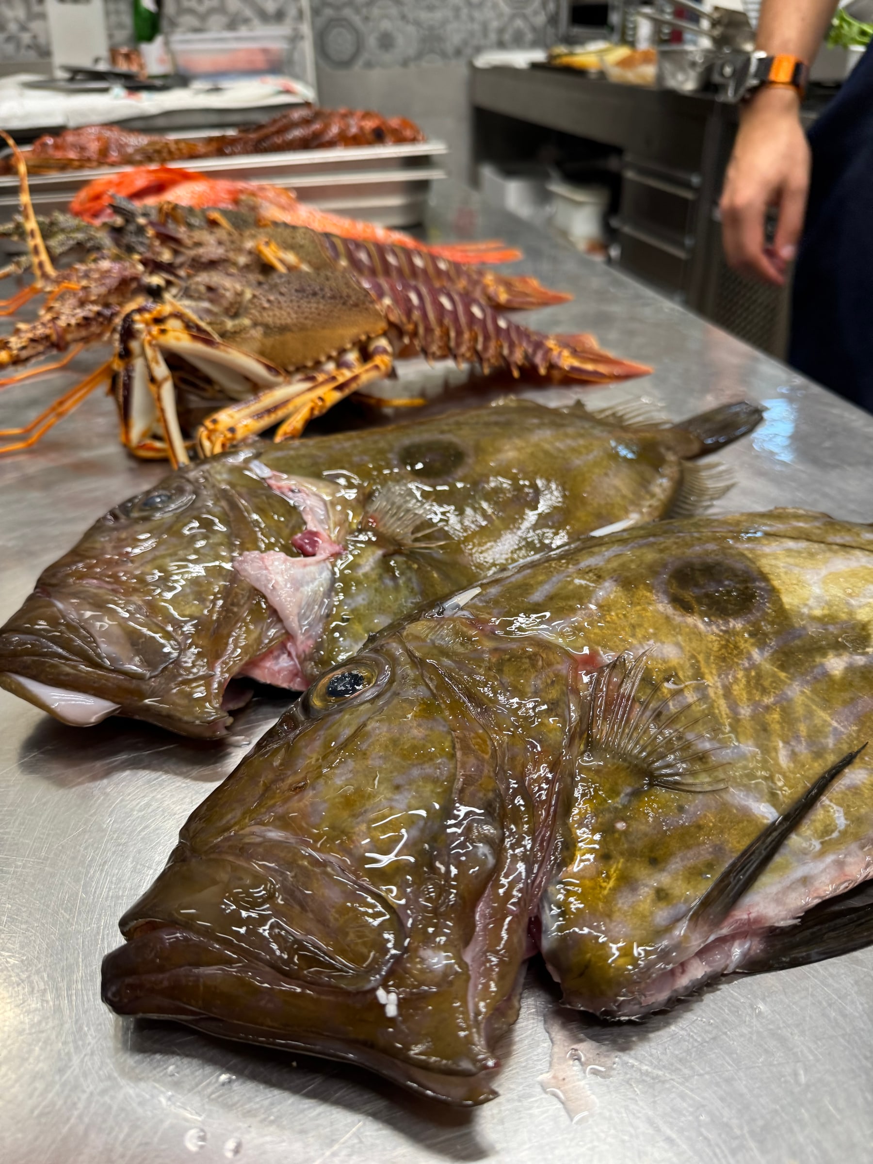 Pesci San Pietro freschi sul banco di cucina